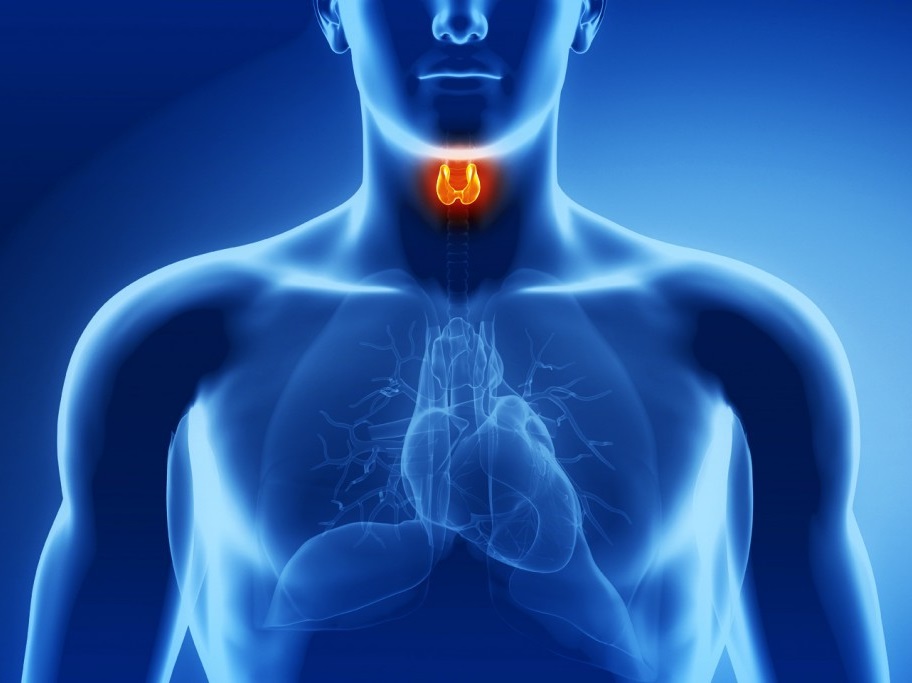 Preventing endocrine diseases: what can you do at home?